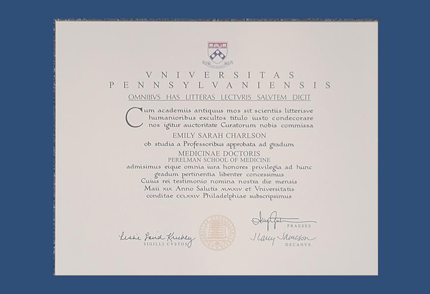 Gallery image about Diplomas & Awards