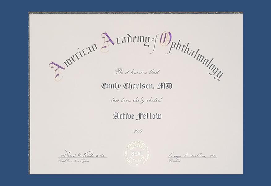 Gallery image about Diplomas & Awards
