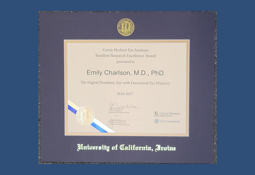 Gallery image about Diplomas & Awards