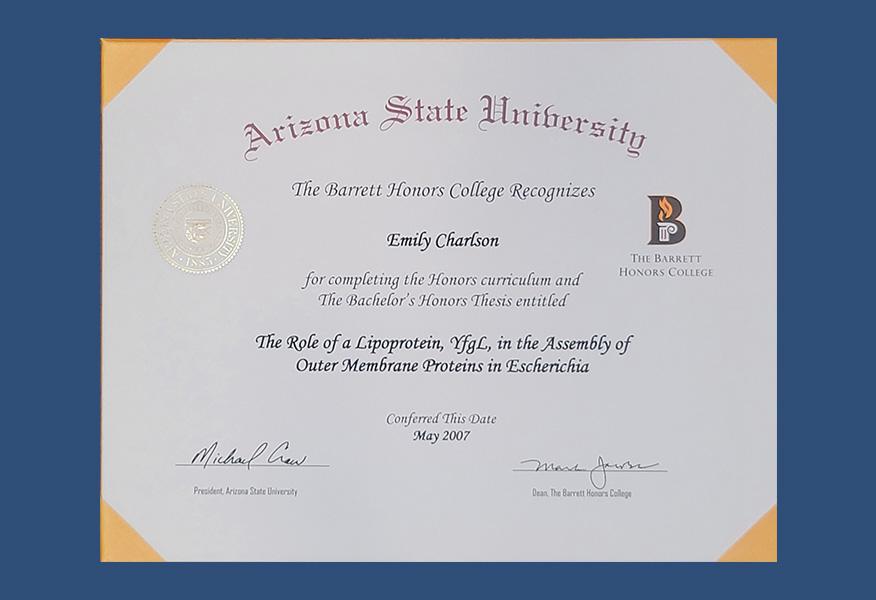 Gallery image about Diplomas & Awards