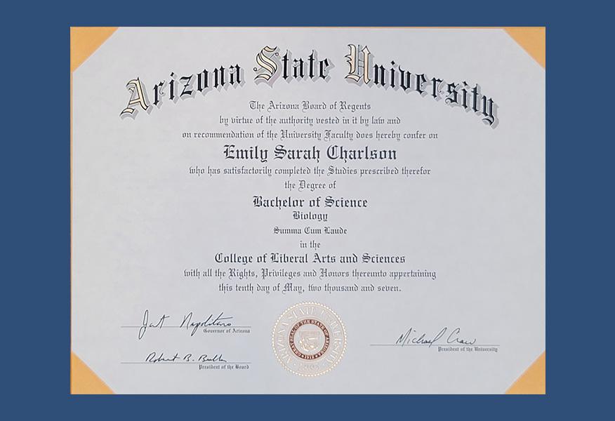 Gallery image about Diplomas & Awards
