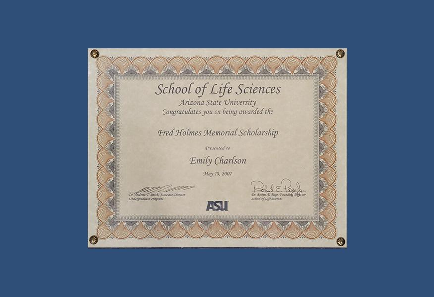 Gallery image about Diplomas & Awards