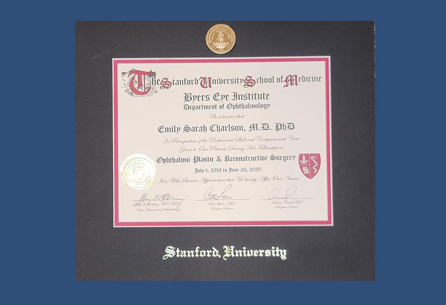 Gallery image about Diplomas & Awards