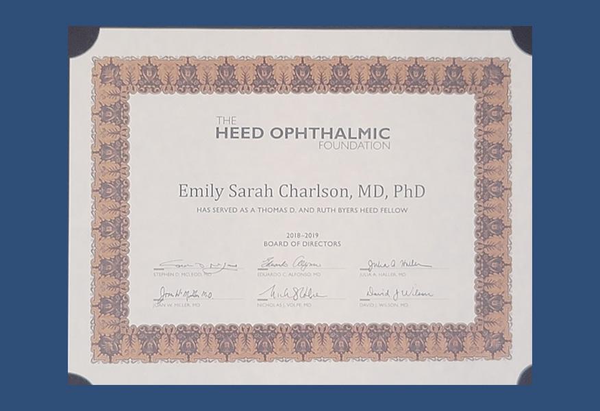 Gallery image about Diplomas & Awards